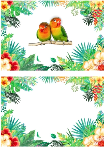Pair of love birds on a branch in tropical flower frame insert