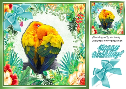 Pair of Birds cuddling on a branch in tropical flower frame 8x8