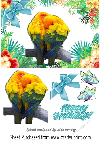 Pair of Birds cuddling on a branch in tropical flower frame A5