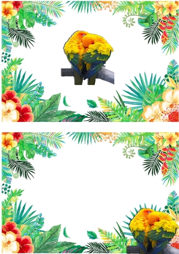 Pair of Birds cuddling on a branch in tropical flower frame A5 Insert