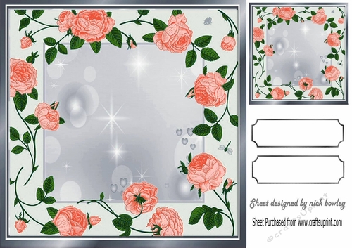 Pretty cascading peach roses with silver frame card front/insert
