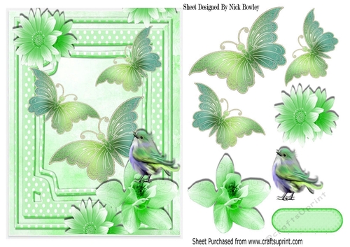 pretty green butterflies, flowers & bird A5