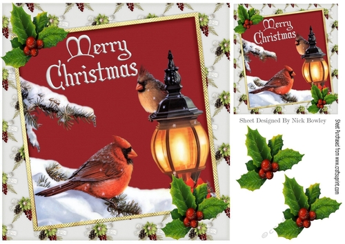 Pretty christmas cardinal birds with holly 8x8