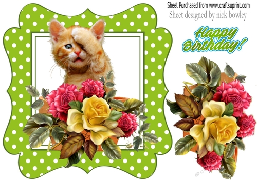 cute ginger kitten with roses/flowers and flowerpot