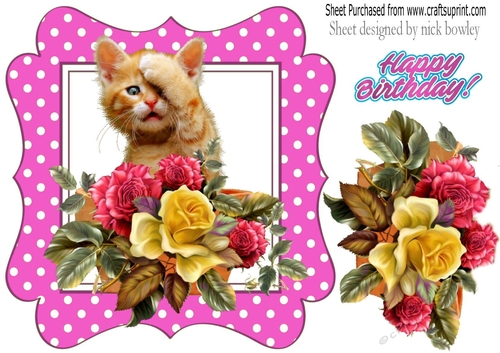 cute kitten with roses/flowers in cerise polkadot frame