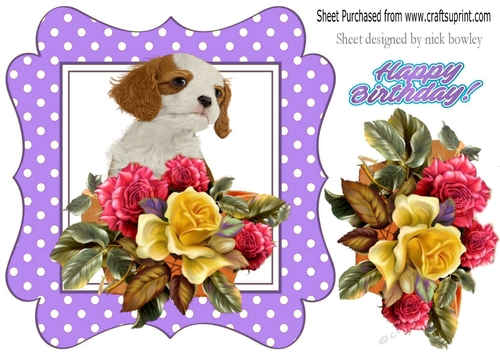 cute puppy with roses/flowers in purple polkadot frame