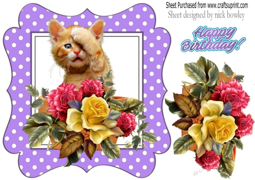 cute kitten with roses/flowers in purple polkadot frame