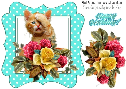 cute kitten with roses/flowers in turq polkadot frame