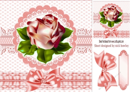 pretty peach rose with bow 8x8