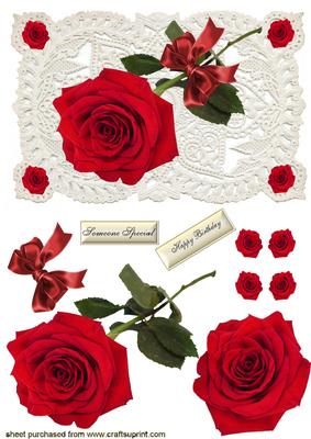 Single Red Rose with Bow on Ecru Lace