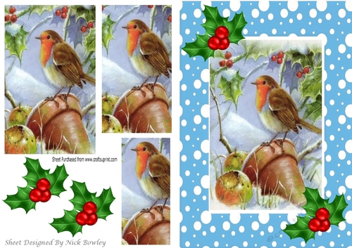 Robin in the snow with pyramids and holly A5 in blue snow frame
