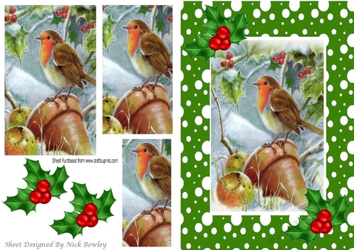 Robin in the snow with pyramids and holly A5 in  green snow frame