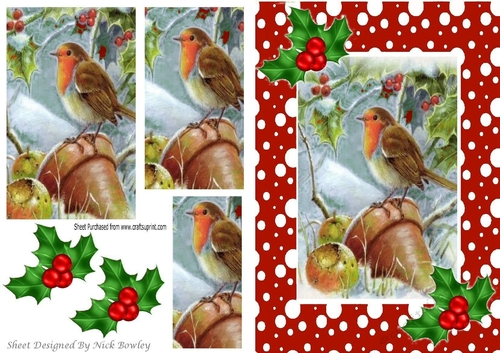 Robin in the snow with pyramids and holly A5 in red snow frame