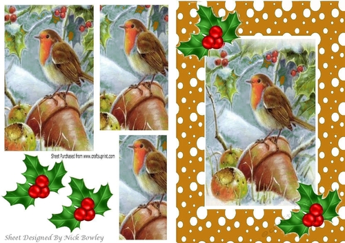 Robin in the snow with pyramids and holly A5 in  gold snow frame