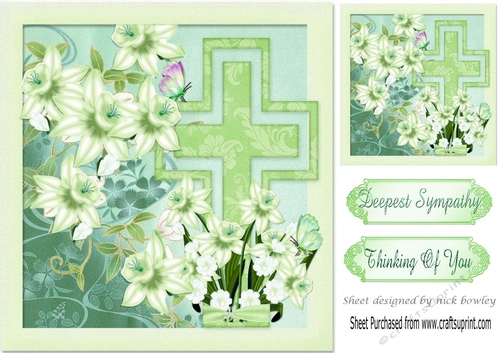 pretty daffs with green cross (sympathy) 8x8