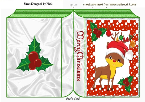 Cute Rudey with holly in snow frame A5 Folded Book