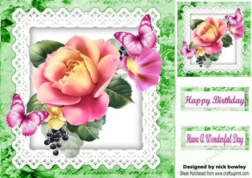 pretty pink roses with butterflies on lace with berries 8x8