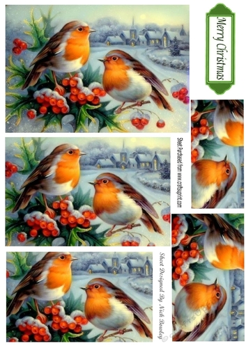 two lovely little robins with a snow village pyramids