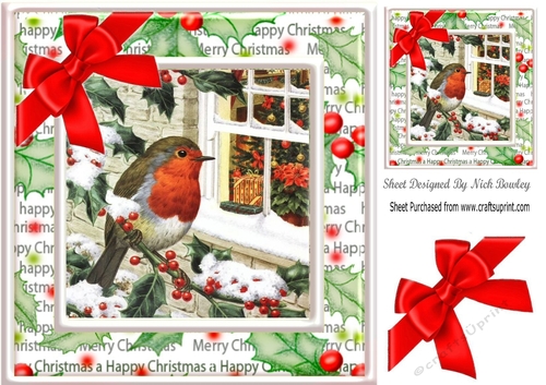 Lovely robin on a branch with snow & window 8x8