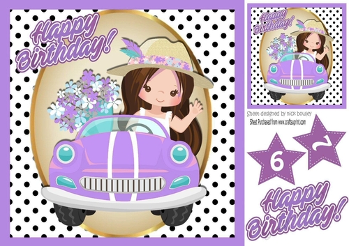 Birthday girl in purple car with flowers in polkadots 8x8