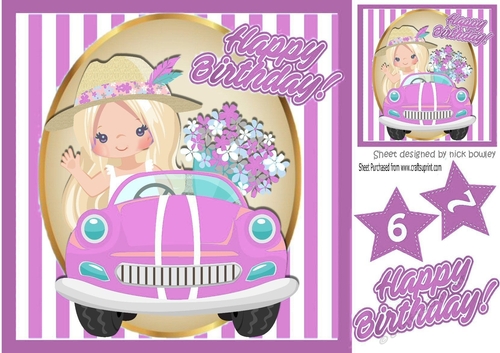 Birthday girl in pink car with flowers in stripe 8x8