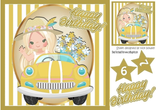 Birthday girl in gold car with flowers in stripe 8x8
