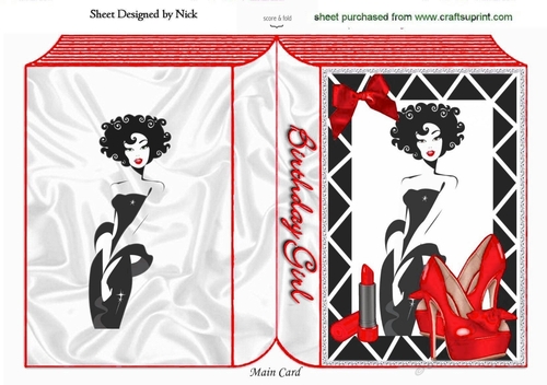 A Girl with Everything! (red) A5 folded book