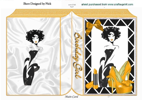 A Girl with Everything! (Gold) A5 folded book