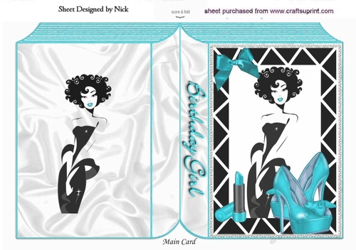A Girl with Everything! (Turq) A5 folded book