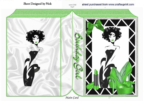A Girl with Everything! (Green) A5 folded book