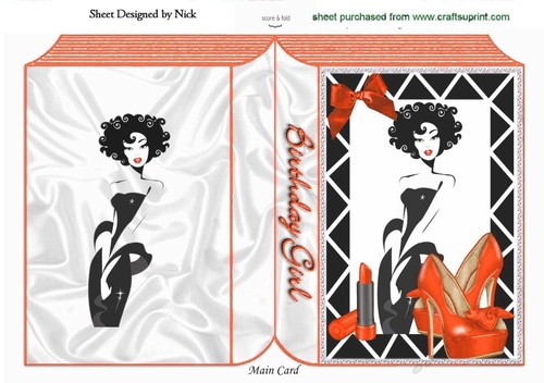 A Girl with Everything! (orange) A5 folded book