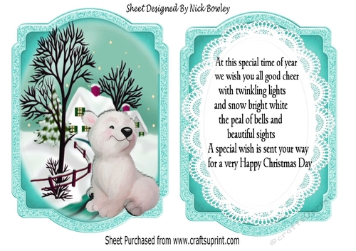 Cute little polar bear with snow scene turq bracket Card front/insert