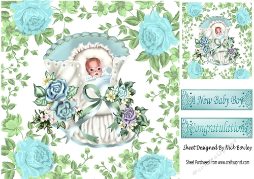 Sweet Baby Boy in a Bassinet with roses 8x8