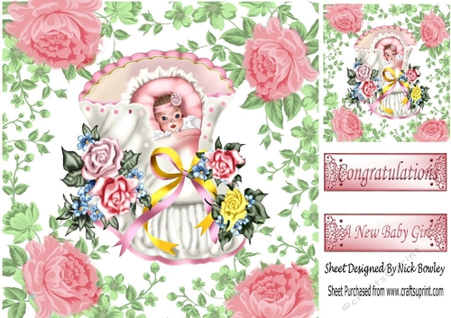 Sweet Baby Girl in a Bassinet with roses 8x8