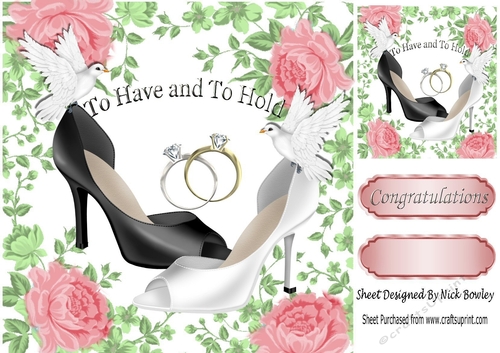 CIVIL WOMENS WEDDING  with  doves & pink rose frame 8x8