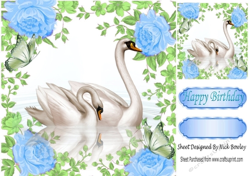 pretty swans with reflection in blue rose frame 8x8