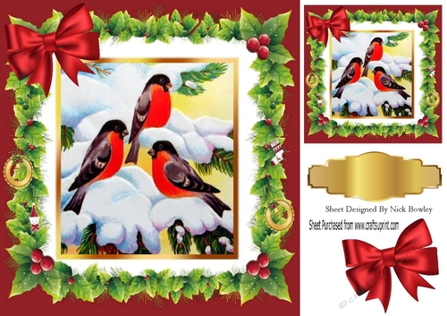 Lovely winter birds playing in the snow in holly frame with bow 8x8