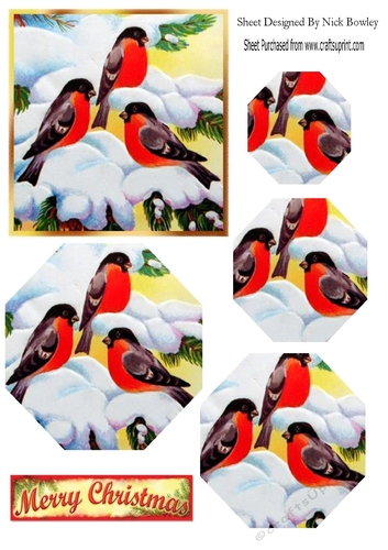 Lovely winter birds playing in the snow hexagon pyramids