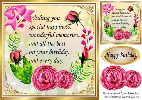 Pretty painted pink roses frame with bow birthday verse 8x8