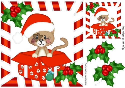 Cute little kitty in santa hat in  xmas box with holly 8x8