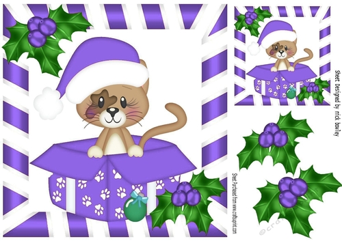 Cute little kitty in purple santa hat in  xmas box with holly 8x8