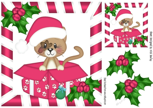 Cute little kitty in pink santa hat in  xmas box with holly 8x8