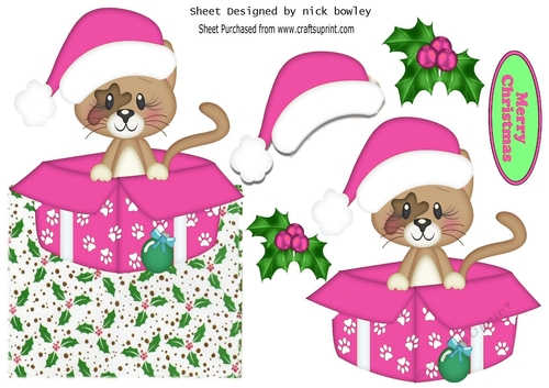 Cute little kitty in a pink santa hat in  xmas box with holly over the edge