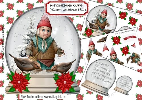 THE GNOME BIRD FEEDER! In snow globe 8x8 mini kit