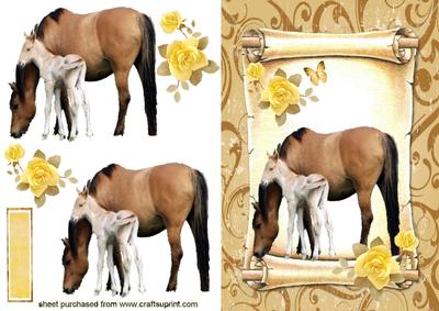 Mum & Baby Foal on a Scroll
