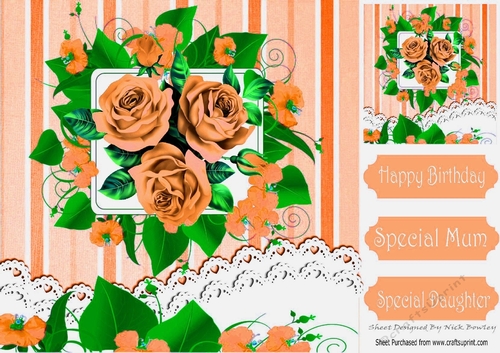 pretty peach roses with lace for that special someone 8x8