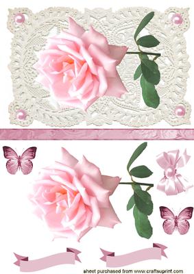 Pink Rose on Ecru Lace with Butterflies