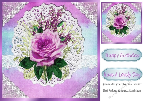 Pretty rainbow pink with oval lace and border with pink roses 8x8