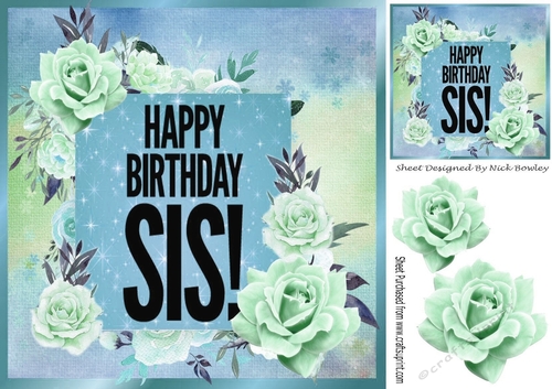 Birthday girl SIS! with turq roses 8x8