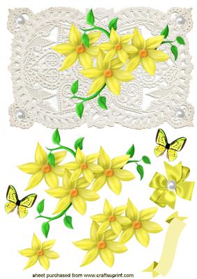Pretty Yellow Flowers on Ecru Lace